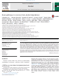 Cover page: Brain pathways to recovery from alcohol dependence