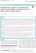 Cover page: Phylogenomic analysis of carangimorph fishes reveals flatfish asymmetry arose in a blink of the evolutionary eye