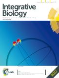 Cover page: Single cell wound generates electric current circuit and cell membrane potential variations that requires calcium influx