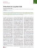 Cover page: A New Notch for Lung Stem Cells