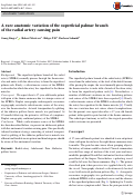 Cover page: A rare anatomic variation of the superficial palmar branch of the radial artery causing pain.