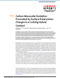 Cover page: Carbon Monoxide Oxidation Promoted by Surface Polarization Charges in a CuO/Ag Hybrid Catalyst