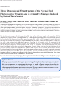 Cover page: Three-Dimensional Ultrastructure of the Normal Rod Photoreceptor Synapse and Degenerative Changes Induced by Retinal Detachment.