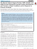 Cover page: The Muscle Ankyrin Repeat Proteins CARP, Ankrd2, and DARP Are Not Essential for Normal Cardiac Development and Function at Basal Conditions and in Response to Pressure Overload