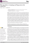 Cover page: The Critical Role of Autophagy and Phagocytosis in the Aging Brain.
