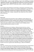 Cover page: Chlorhexidine versus routine bathing to prevent multidrug-resistant organisms and all-cause bloodstream infections in general medical and surgical units (ABATE Infection trial): a cluster-randomised trial