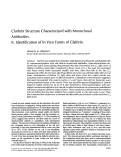 Cover page: Clathrin structure characterized with monoclonal antibodies. II. Identification of in vivo forms of clathrin.