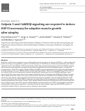 Cover page: Calpain 3 and CaMKIIβ signaling are required to induce HSP70 necessary for adaptive muscle growth after atrophy