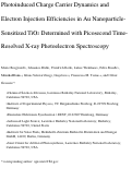 Cover page: Photoinduced Charge Carrier Dynamics and Electron Injection Efficiencies in Au Nanoparticle-Sensitized TiO2 Determined with Picosecond Time-Resolved X‑ray Photoelectron Spectroscopy