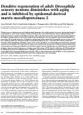 Cover page: Dendrite regeneration of adult Drosophila sensory neurons diminishes with aging and is inhibited by epidermal-derived matrix metalloproteinase 2.