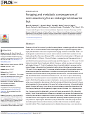 Cover page: Foraging and metabolic consequences of semi-anadromy for an endangered estuarine fish