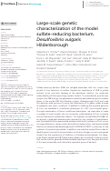 Cover page: Large-scale genetic characterization of the model sulfate-reducing bacterium, Desulfovibrio vulgaris Hildenborough