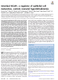 Cover page: Intestinal NCoR1, a regulator of epithelial cell maturation, controls neonatal hyperbilirubinemia