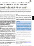 Cover page: A combination of two human monoclonal antibodies limits fetal damage by Zika virus in macaques