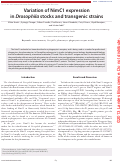 Cover page: Variation of NimC1 expression in Drosophila stocks and transgenic strains