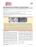 Cover page: Heat-Induced Phase Transformation of Three-Dimensional Nb3O7(OH) Superstructures: Effect of Atmosphere and Electron Beam