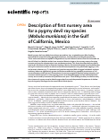 Cover page: Description of first nursery area for a pygmy devil ray species (Mobula munkiana) in the Gulf of California, Mexico.