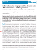 Cover page: Erratum: Subcellular metal imaging identifies dynamic sites of Cu accumulation in Chlamydomonas