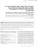 Cover page: The Caenorhabditis elegans Ephrin EFN-4 Functions Non-cell Autonomously with Heparan Sulfate Proteoglycans to Promote Axon Outgrowth and Branching