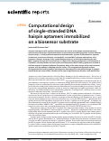 Cover page: Computational design of single-stranded DNA hairpin aptamers immobilized on a biosensor substrate.