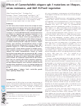 Cover page: Effects of Caenorhabditis elegans sgk-1 mutations on lifespan, stress resistance, and DAF-16/FoxO regulation.