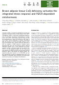 Cover page: Brown adipose tissue CoQ deficiency activates the integrated stress response and FGF21-dependent mitohormesis.