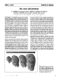 Cover page: Sex, nose and genotype