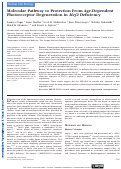Cover page: Molecular Pathway to Protection From Age-Dependent Photoreceptor Degeneration in Mef2 DeficiencyProtection of Photoreceptors From Mef2 Deficiency