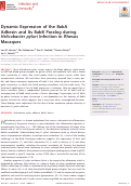 Cover page: Dynamic Expression of the BabA Adhesin and Its BabB Paralog during Helicobacter pylori Infection in Rhesus Macaques