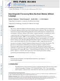 Cover page: Neurolinguistic processing when the brain matures without language