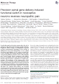 Cover page: Precision spinal gene delivery-induced functional switch in nociceptive neurons reverses neuropathic pain.