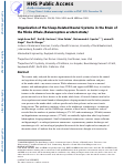 Cover page: Organization of the sleep‐related neural systems in the brain of the minke whale (Balaenoptera acutorostrata)