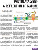 Cover page: Photocatalysis: A Reflection of Nature