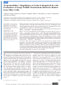 Cover page: Tropomodulin 1 Regulation of Actin Is Required for the Formation of Large Paddle Protrusions Between Mature Lens Fiber CellsTmod1 and Lens Fiber Cell Interdigitations