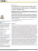 Cover page: Characterization of antennal sensilla, larvae morphology and olfactory genes of Melipona scutellaris stingless bee