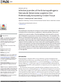 Cover page: Infective Juveniles of the Entomopathogenic Nematode Steinernema scapterisci Are Preferentially Activated by Cricket Tissue.