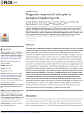 Cover page: Phagocytic response of astrocytes to damaged neighboring cells.