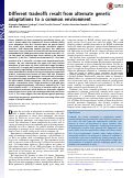 Cover page: Different tradeoffs result from alternate genetic adaptations to a common environment