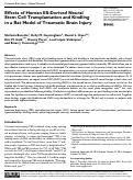 Cover page: Effects of Human ES-Derived Neural Stem Cell Transplantation and Kindling in a Rat Model of Traumatic Brain Injury