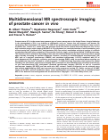 Cover page: Multidimensional MR spectroscopic imaging of prostate cancer in vivo