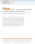 Cover page: Conserved roles of C. elegans and human MANFs in sulfatide binding and cytoprotection