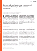 Cover page: Genome-wide analysis demonstrates conserved localization of messenger RNAs to mitotic microtubules