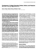 Cover page: Development of voltage-dependent calcium, sodium, and potassium currents in Xenopus spinal neurons.