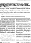 Cover page: The Prometastatic Ribosomal S6 Kinase 2-cAMP Response Element-binding Protein (RSK2-CREB) Signaling Pathway Up-regulates the Actin-binding Protein Fascin-1 to Promote Tumor Metastasis*