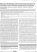 Cover page: Molecular Identification and Functional Characterization of the Human Colonic Thiamine Pyrophosphate Transporter*