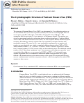 Cover page: The crystallographic structure of Panicum Mosaic Virus (PMV)