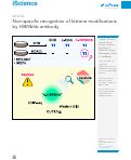 Cover page: Non-specific recognition of histone modifications by H3K9bhb antibody