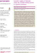 Cover page: Geometric coupling of helicoidal ramps and curvature-inducing proteins in organelle membranes