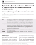 Cover page: Critical roles of a small conductance Ca2+-activated K+ channel (SK3) in the repolarization process of atrial myocytes