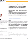 Cover page: Mild Concussion, but Not Moderate Traumatic Brain Injury, Is Associated with Long-Term Depression-Like Phenotype in Mice